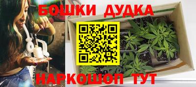 МДПВ Гатчина