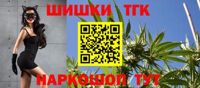 МДПВ Гатчина