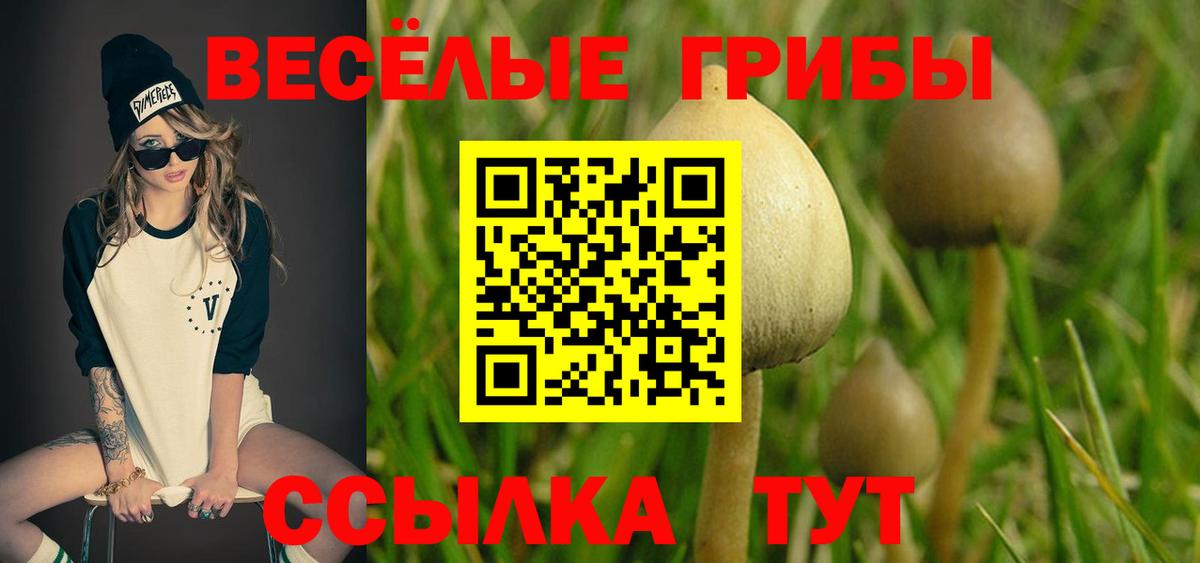Грязи  Галлюциногенные грибы Cubensis  Вход с VPN 